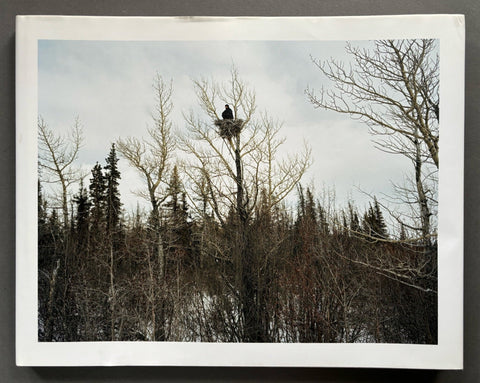 Out There - Setanta Books