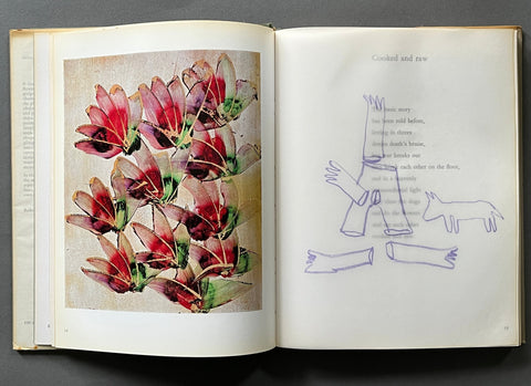 Paradise Garden - Setanta Books