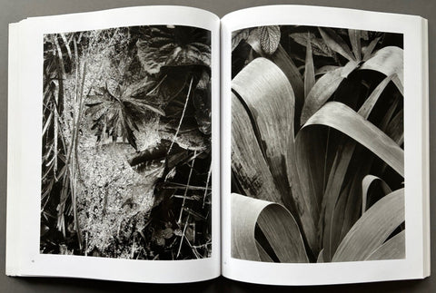 Paul Strand: Sixty Years of Photographs - Setanta Books