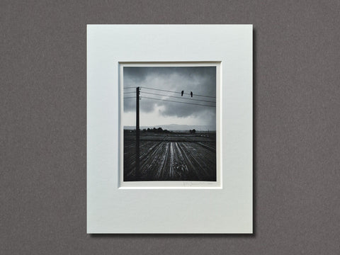 Kitakata, Japan (Two Birds on Wire), 2005