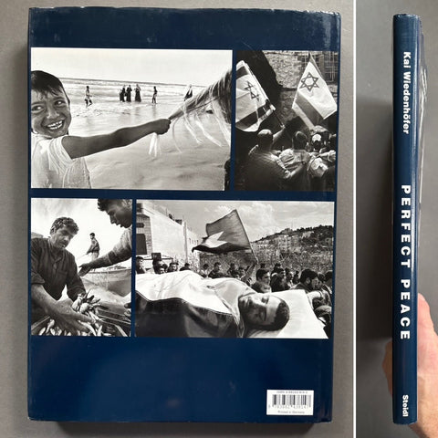 Perfect Peace: The Palestinians from Intifada to Intifada - Setanta Books