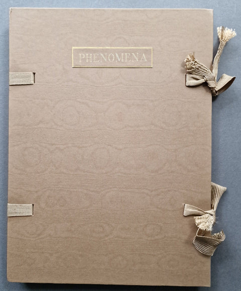 Phenomena - Setanta Books