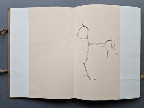 Phenomena - Setanta Books