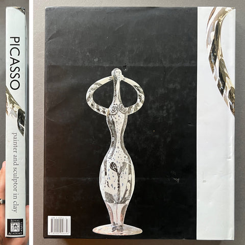 Picasso Painter and Sculptor in Clay Book - Setanta Books