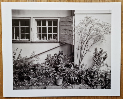 Pictures From The Garden - Setanta Books