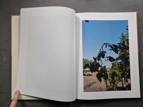 Pomodori a Grappolo - Setanta Books