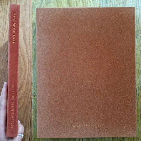 Positive Disintegration - Setanta Books