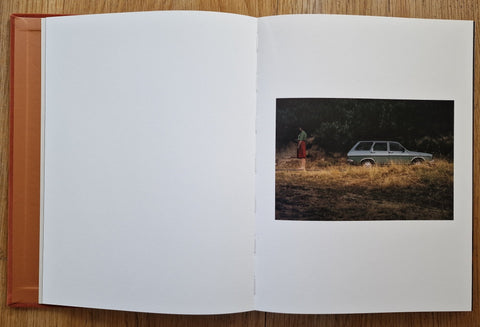 Positive Disintegration - Setanta Books