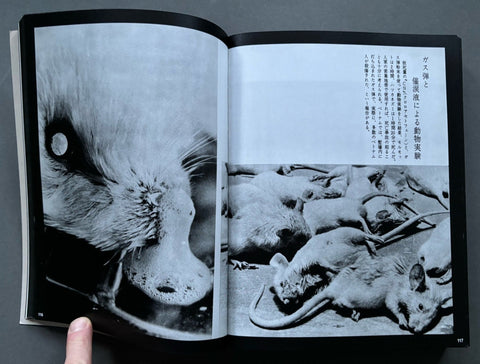 Provoke - Setanta Books