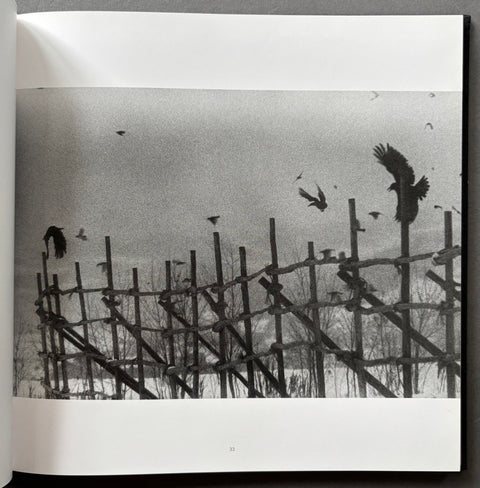 Ravens - 1st edition - Setanta Books