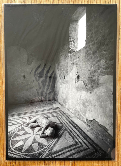 Requiem (One Picture Book) - Setanta Books