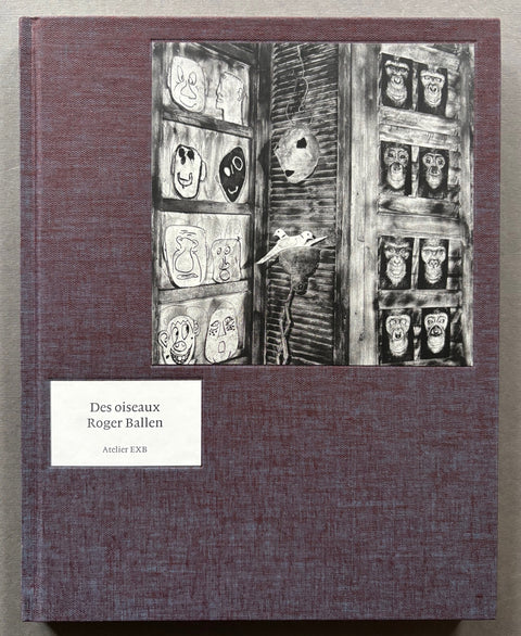Roger-Ballen-Des-Oiseaux-Setanta-Books