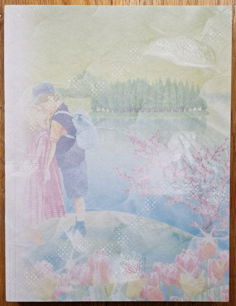 Salt Ponds - Setanta Books