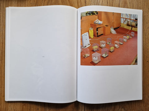 Salt Ponds - Setanta Books