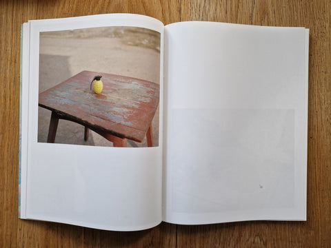 Salt Ponds - Setanta Books
