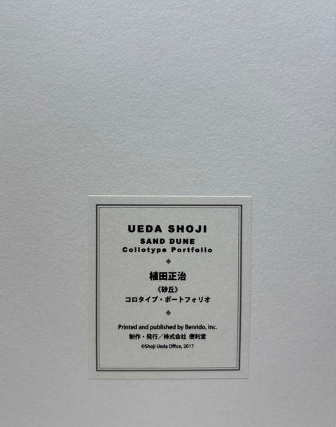 Sand Dune - Setanta Books