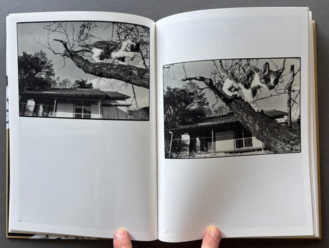Sasuke - Setanta Books