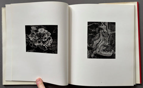 Seasons - Setanta Books
