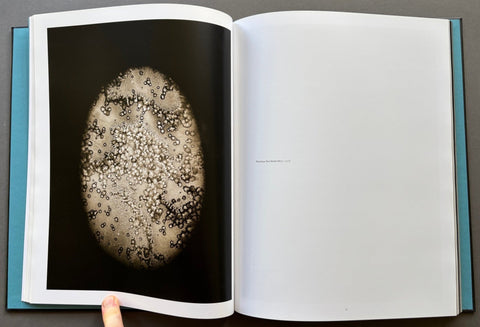 Seaworks 1998 - 2013 - Setanta Books
