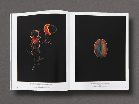 Seed Stories Limited Edition with Choice of 2 Prints