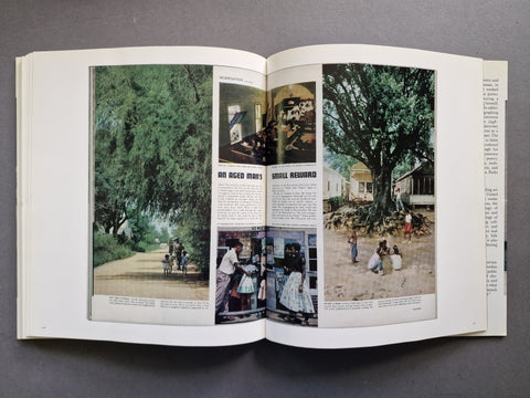 Segregation Story - Setanta Books