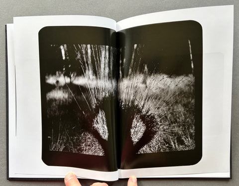 Self Portraits - Setanta Books