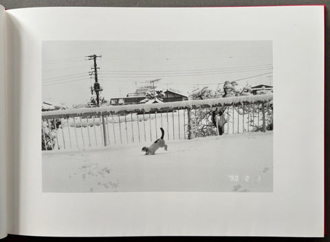 Sentimental Journey/Winter Journey - Setanta Books