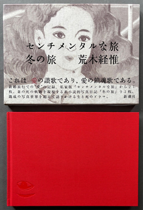 Sentimental Journey/Winter Journey - Setanta Books