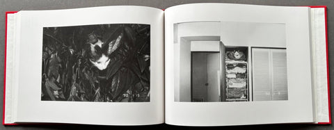 Sentimental Journey/Winter Journey - Setanta Books
