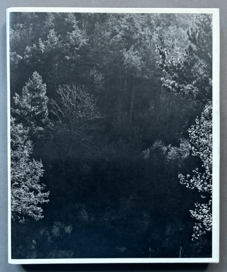 アート・デザイン・音楽 Sequester Awoiska van der Molen Buy Sequester by Awoiska van der Molen – Setanta Books