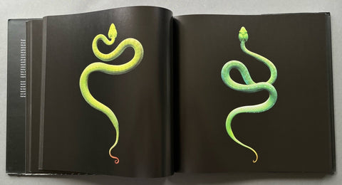 Serpentine - Setanta Books