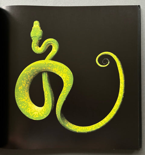 Serpentine - Setanta Books