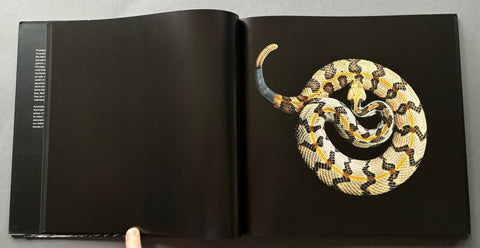 Serpentine - Setanta Books
