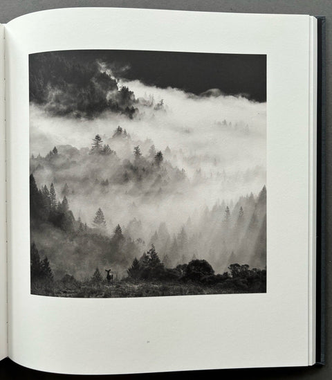 Shanti: The Sea Ranch And Around - Setanta Books