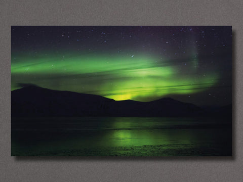 Signs_ - Setanta Books