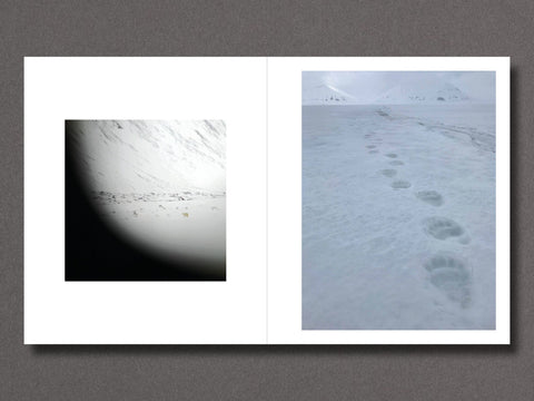 Signs_ - Setanta Books