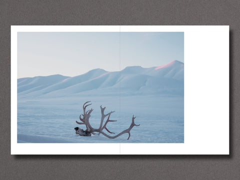 Signs_ - Setanta Books