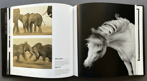Silver Footprint: 35 Years of Darkroom Printing - Setanta Books