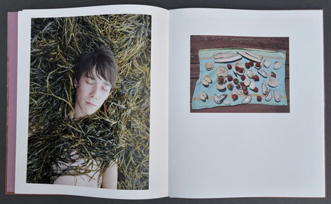 Sistermoon - Setanta Books