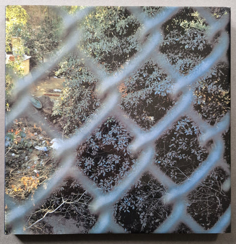 Sons of Adam: Landscapes for the Homeless II - Setanta Books