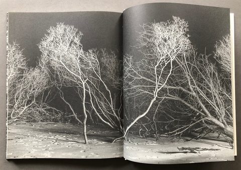 Alone Together (One Last Trip Around the Garden)