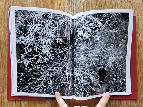 Stamboul Ghosts: A Stroll Through Bohemian Istanbul - Setanta Books
