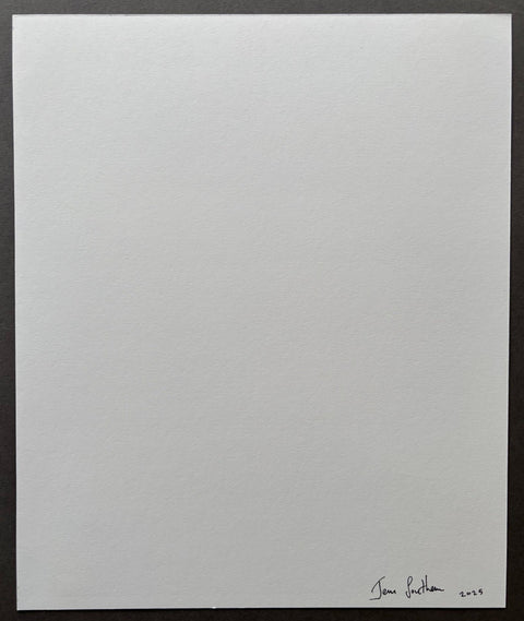 Starlings - with signed print - Setanta Books