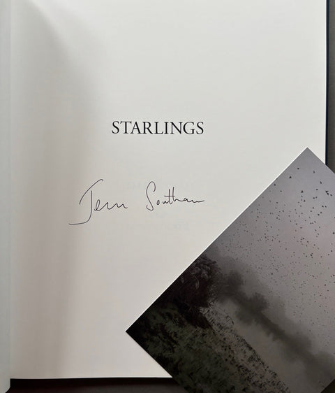 Starlings - with signed print - Setanta Books