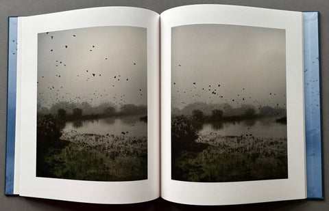 Starlings - with signed print - Setanta Books