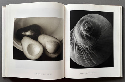 Steichen's Legacy: Photographs 1895 - 1973 - Setanta Books