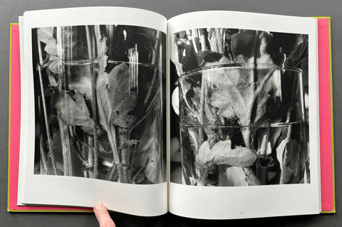 Stems - Setanta Books