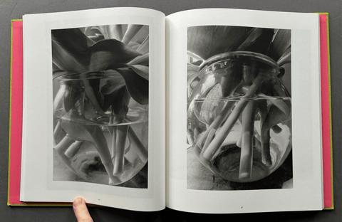 Stems - Setanta Books