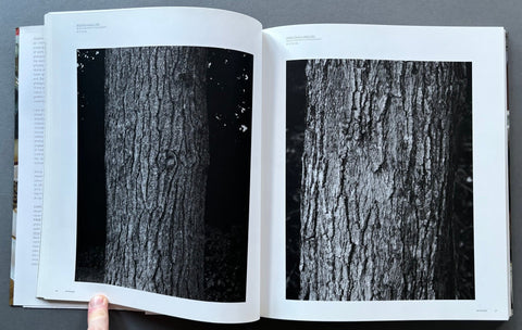 Stephen Shore - Setanta Books