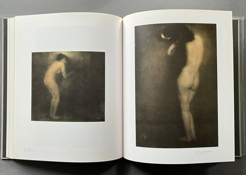 Stieglitz, Steichen, Strand - Setanta Books